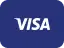 Pay safely with Visa